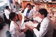 Information Research : BCS-CA1-9